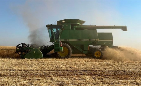 Як змінились клімат і врожаї на Херсонщині через підрив Каховської ГЕС