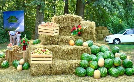 Підсумки жнив: рекордні досягнення хліборобів Мелітопольщини