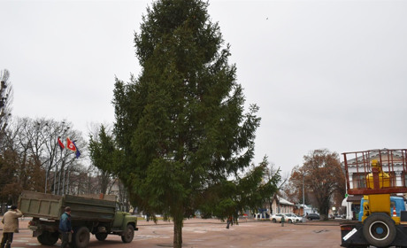 У Переяславі встановили новорічну ялинку. Її подарував дитсадок "Берізка"