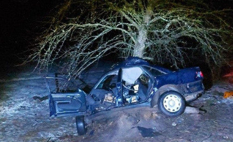 Вирішили покататися: у ДТП загинув неповнолітній водій