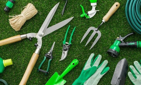 Лютневі роботи в саду та городі: 6 порад, як ефективно підготуватися до сезону