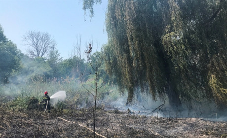 Спека і пожежа: у Кагарлику горіла бережина неподалік Могили