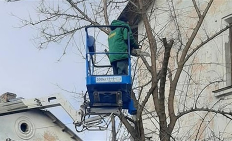 Як у Смілі проводять обрізку дерев та куди йдуть дрова: пояснення міського голови. Відео