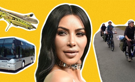 Дайджест для Кім Кардаш’ян: що важливого і цікавого відбулося на Луганщині за цей тиждень