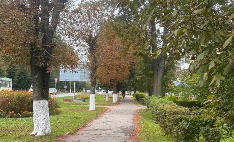 Погода у Старокостянтинові на 29 вересня - 5 жовтня: початок жовтня буде сірим і дощовим