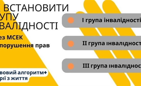 Як встановити групу інвалідності через МСЕК, і що робити, якщо її встановили неправильно