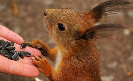 Прогноз погоди на Білопільщині у п’ятницю та на вихідні, 18-19 січня