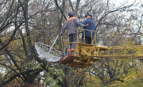 Сьогодення листопада на суботніх пазлах. Ви готові до гри?