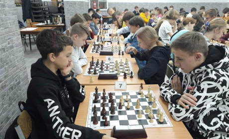 Жмеринчани стали чемпіонами обласного чемпіонату з шахів та готуються на всеукраїнський чемпіонат