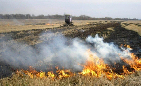 Скільки пожеж на Фастівщині виникли через підпали сухих рослин: інформація за тиждень