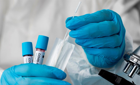 COVID-19 в Україні: ситуація з поширенням на Сватівщині і Луганщині на ранок 12 січня 2022