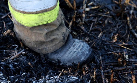 В Україні з початку року — понад 3 тисячі пожеж в екосистемах: є загиблі та травмовані