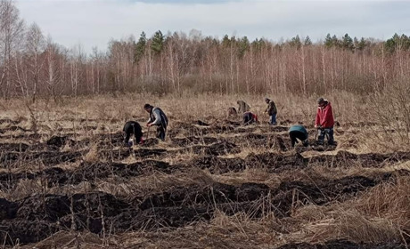 Естафету садіння лісу в Студениківській громаді на Переяславщині підхопила Семенівка