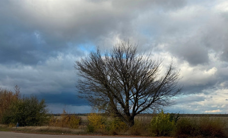 Що цікавого в листопаді: календар свят на третій місяць осені у 2025