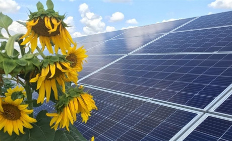 Уряд запускає програму: зможете самостійно забезпечувати себе електроенергією