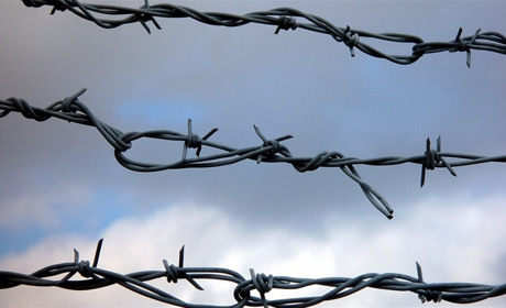 Светлана Соколова: «Во время бомбежек папа из концлагеря вылезал через подземный ход в поисках еды"