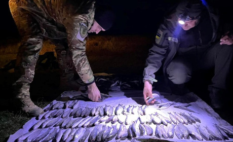 Наловив камбали і кефалі на 8 млн грн: на Одещині спіймали браконьєра