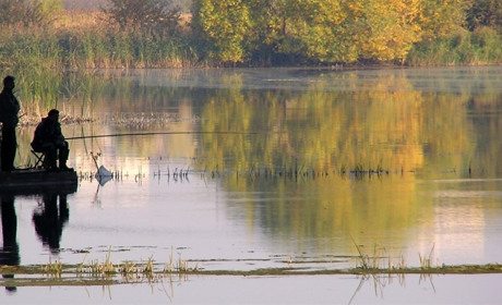 Рибалкам Білопільщини: на що ловити і чим підгодовувати коропа у другій половині осені