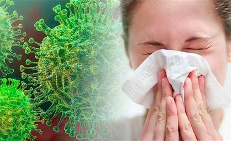 "Ковід" на Білопільщині: яку статистику маємо сьогодні і протягом року, що минув