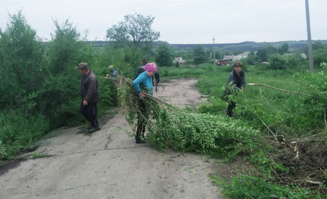 В селі Тимонове проводять толоки з благоустрою