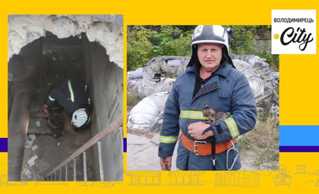 У Вараші рятувальники дістали з каналізаційної ями кошеня