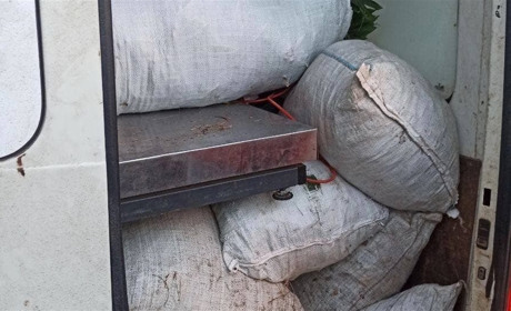 У Сарнах патрульні зупинили водія, який перевозив червонокнижну рослину