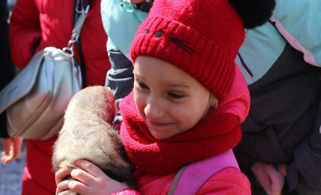 Домашній зоопарк відкрив двері нікопольцям. Які тварини там живуть та як потрапити на екскурсію