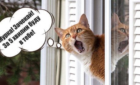 Останній ранок зими буде туманним: прогноз погоди на Сумщині та в Україні