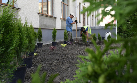 Альпійські гірки та декоративні туї: у Жмеринці триває озеленення 