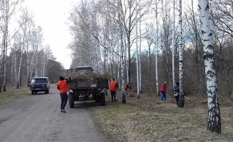 На центральній алеї заказника “Великоанадольське” прибрали сміття 
