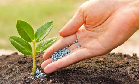 Ох і зекономила! Фермерку ошукали на понад 800 тисяч грн під час замовлення добрив онлайн