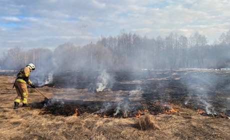 У Глухові рятувальники тричі гасили пожежі в екосистемах через загоряння сухої трави