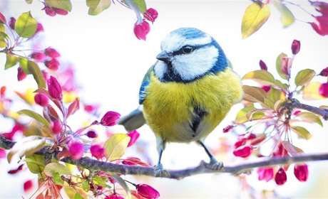 Що святкуватимемо у травні 2023: державні та професійні свята, іменини