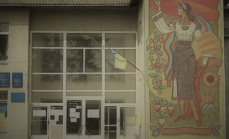 Кого з кандидатів на посаду голови Мамаївської ОТГ ви підтримуєте? Опитування