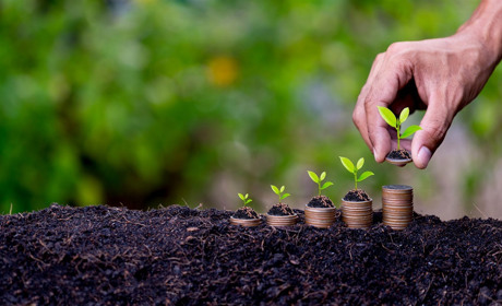 Із старту ринку землі у Вараському районі не продали жодної земельної ділянки. А що в області?