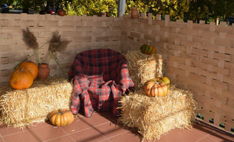 У Переяславі облаштовують осінні фотозони біля магазинів