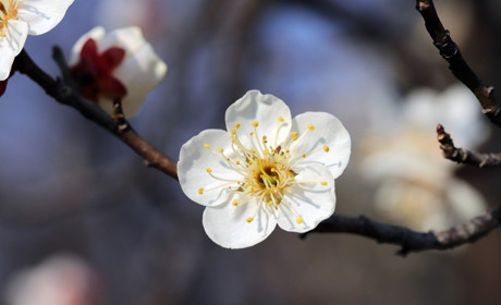 Якою буде погода у Сватовому і районі у перші дні квітня: прогноз з 30 березня по 5 квітня 2020