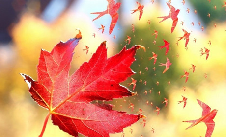 Как провести выходные в Мелитополе 24-25 ноября