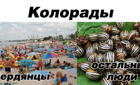 Как видят мир бердянцы и все остальные