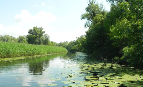 На острів Козацький хочуть завести туроператорів України і зарубіжжя