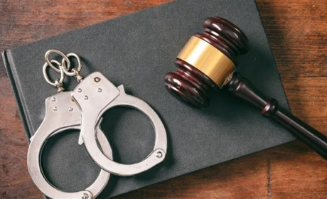 Майстра лісу засуджено до реального ув’язнення за спробу привласнити деревину на 400 тисяч
