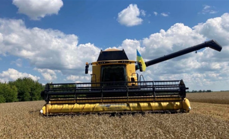 Найскладніші цьогорічні жнива ранніх зернових завершили: які результати на Білопільщині