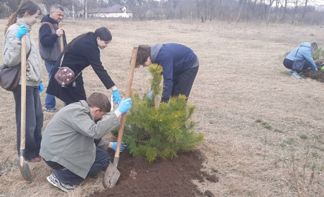 Весняна толока у Звягелі: прибрали набережну і висадили понад 180 дерев