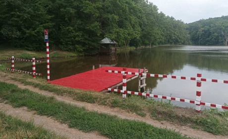 Смілянські лісівники збудували декілька пірсів на водоймах в лісах і пояснили, навіщо вони там