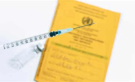 Щеплені золотонісці можуть отримати міжнародне свідоцтво про вакцинацію. Але це не ковідний паспорт