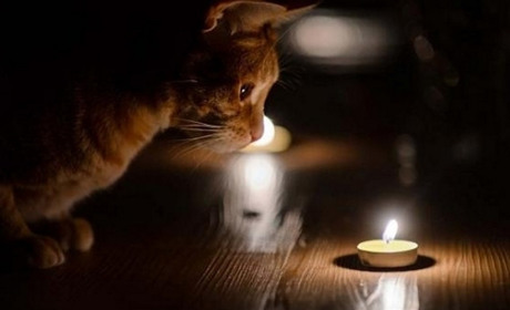 Більша частина Ізмаїла 7 лютого залишилася без світла