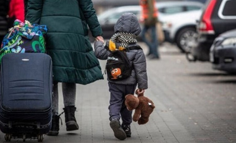 На 31 особу зросла кількість ВПО у Шосткинській громаді