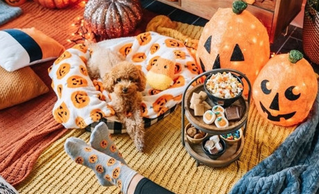 Розвіюємо “міфи” про свято “Хелловін” та чому його так полюбляють в усьому Світові