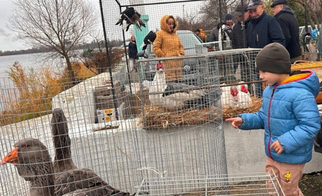 Осіння магія на набережній Старокостянтинова: ярмарок, тваринки та запашна козацька юшка