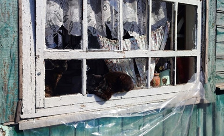 Наслідки терору в Шостці: містяни розповіли про пережите під час нічного обстрілу